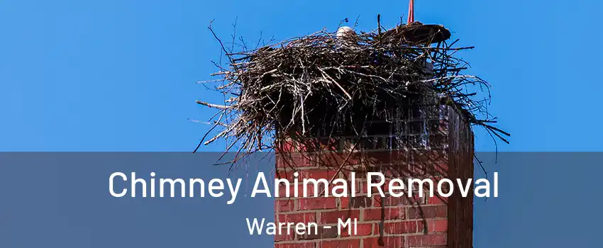 Chimney Animal Removal Warren - MI