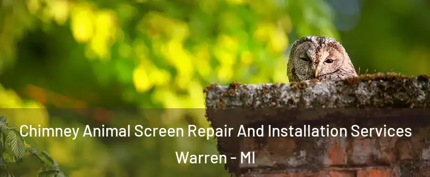  Chimney Animal Screen Repair And Installation Services Warren - MI