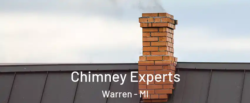 Chimney Experts Warren - MI