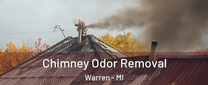  Chimney Odor Removal Warren - MI