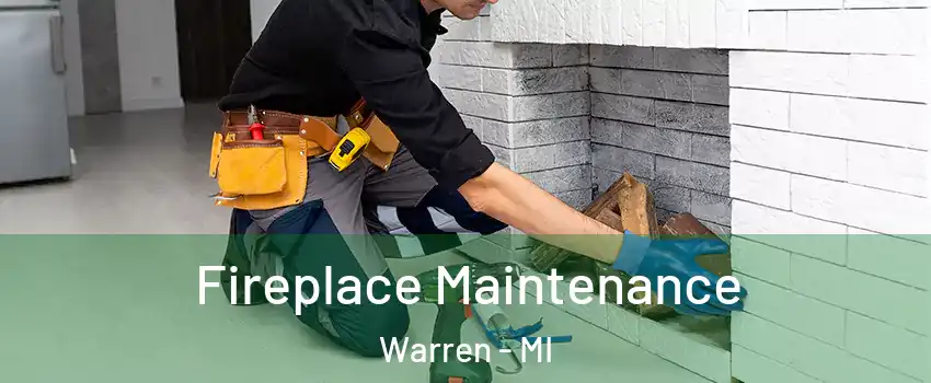  Fireplace Maintenance Warren - MI