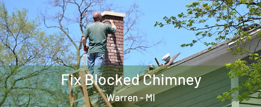  Fix Blocked Chimney Warren - MI