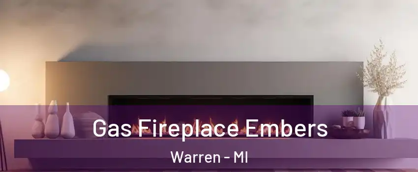 Gas Fireplace Embers Warren - MI