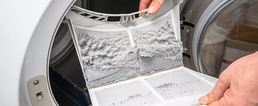 Best Dryer Lint Removal Company in Warren, Michigan
