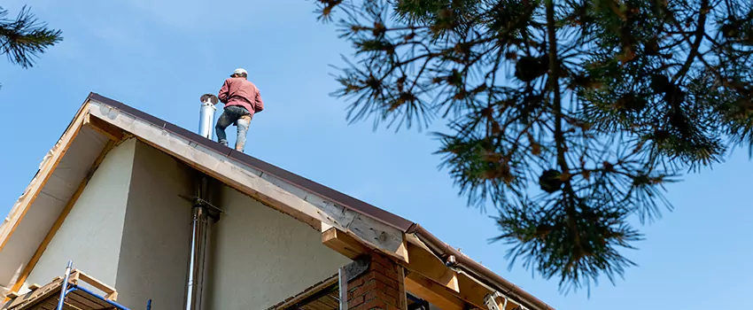 Birds Removal Contractors from Chimney in Warren, MI