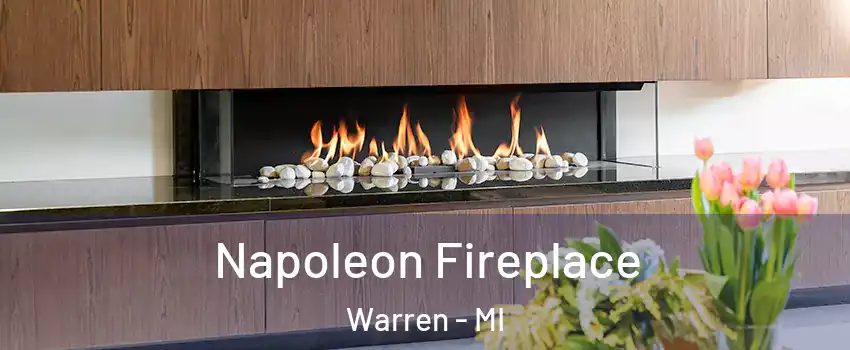  Napoleon Fireplace Warren - MI